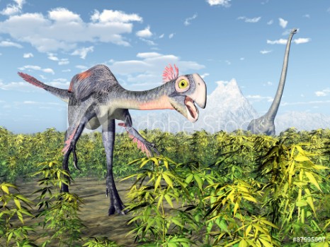 Bild på The dinosaurs Gigantoraptor and Mamenchisaurus